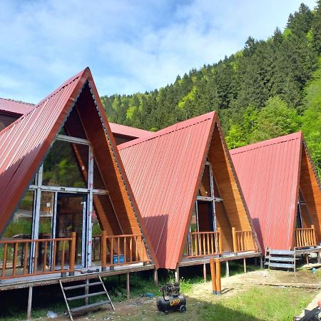 Ay Home Apart&Bungalov Uzungöl Kültér fotó