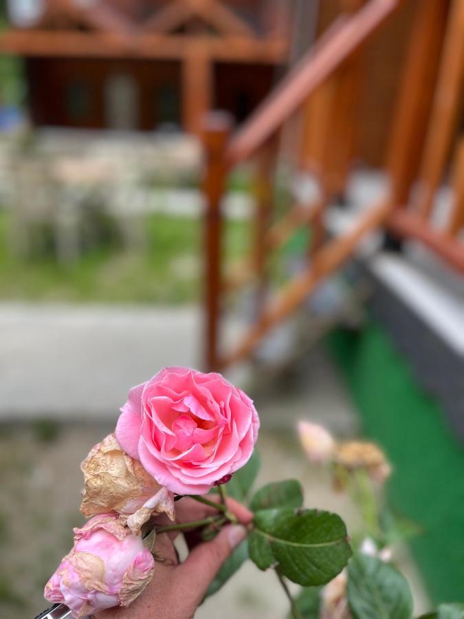 Ay Home Apart&Bungalov Uzungöl Kültér fotó